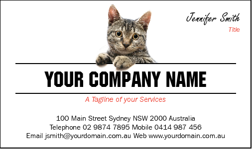 Business Card Design 2907