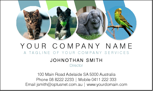 Business Card Design 4026