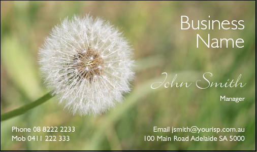 Business Card Design 2360