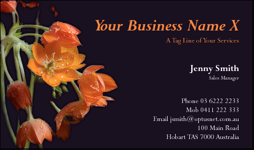Business Card Design 1523