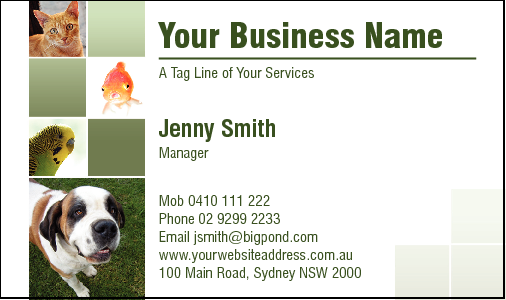 Business Card Design 3895