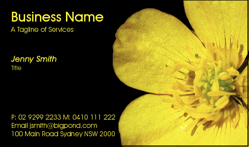 Business Card Design 2505