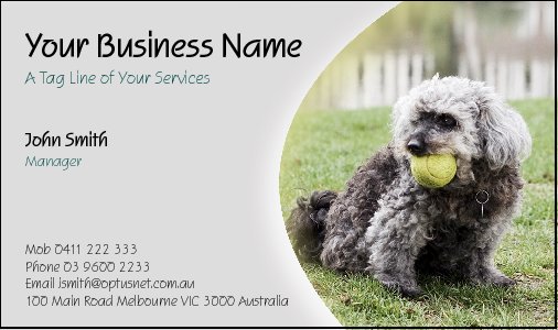 Business Card Design 2528
